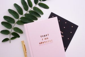 flatlay of golden pen, pink gratitude journal and blakc notebook and green leaf 
