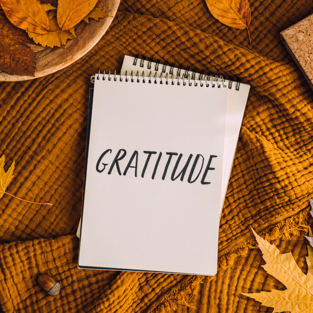 a notebook with the words gratitude on it in capital letters on a brown fabric with autumn leaves surrounding the notebook